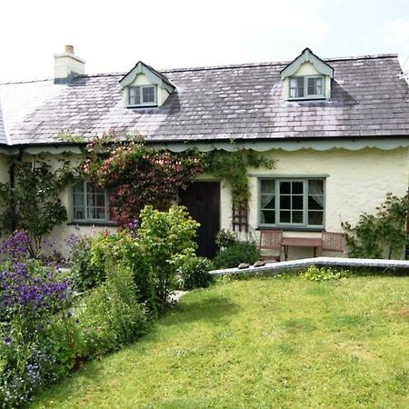 Parc Y Brenin Dryslwyn Exterior foto