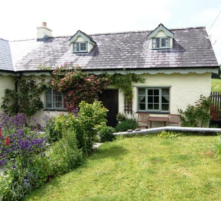 Parc Y Brenin Dryslwyn Exterior foto